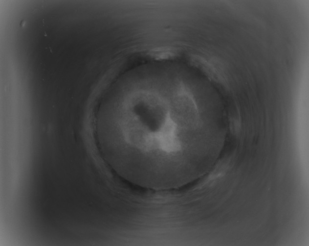 X0000101481393200807071454