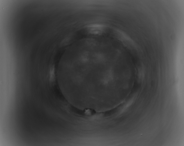 X0000101481394200807071454