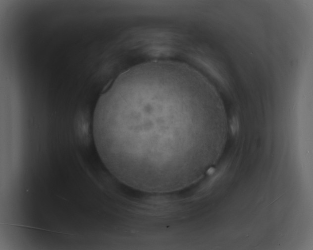 X0000101481396200807071454