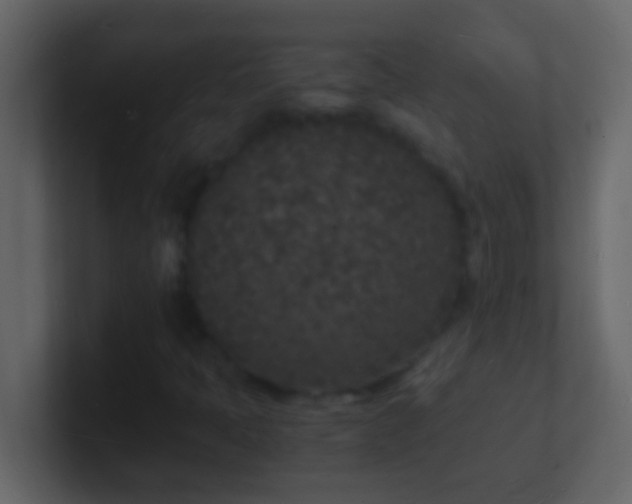 X0000101481397200807071454