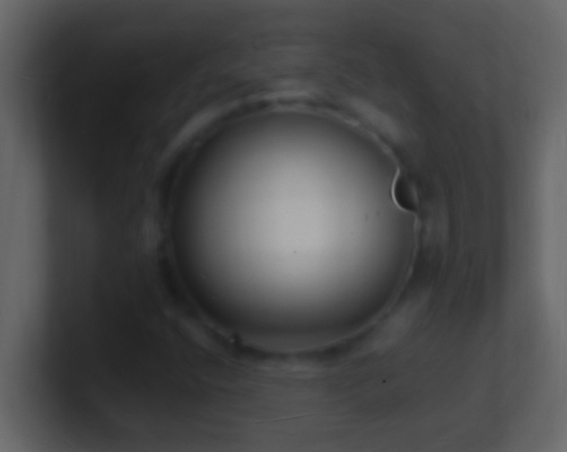 X0000101481400200807071454