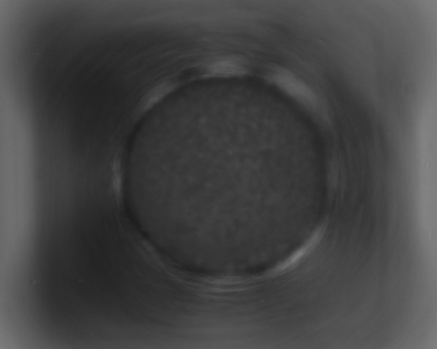 X0000101481401200807071454