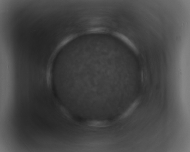 X0000101481405200807071454