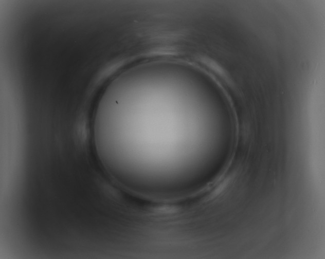 X0000101481406200807071454