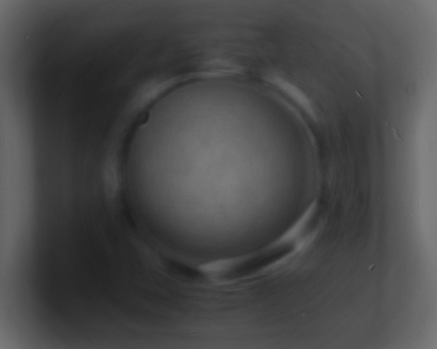 X0000101481407200807071454