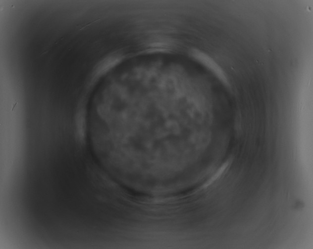 X0000101481411200807071454