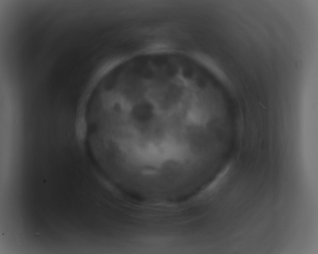 X0000101481413200807071454
