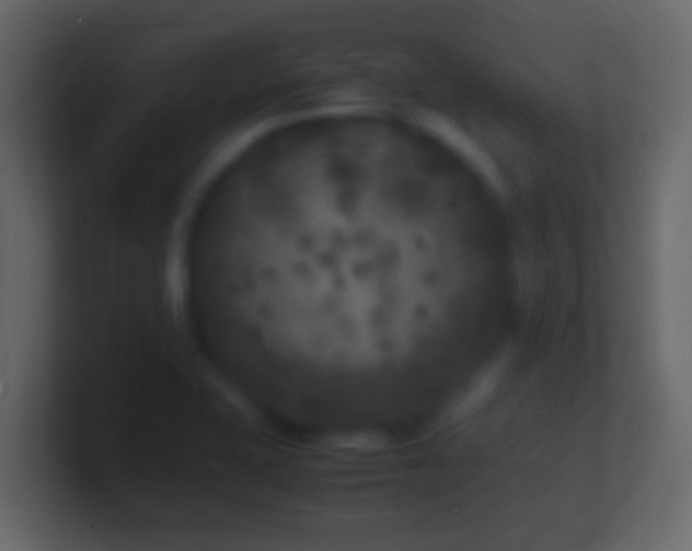 X0000101481415200807071454