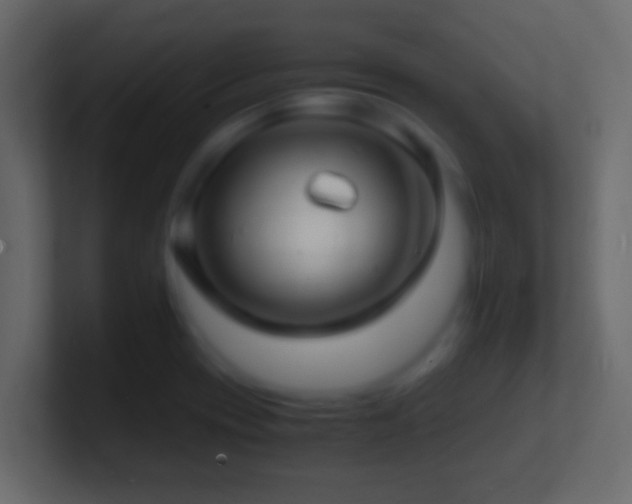 X0000101481417200807071454