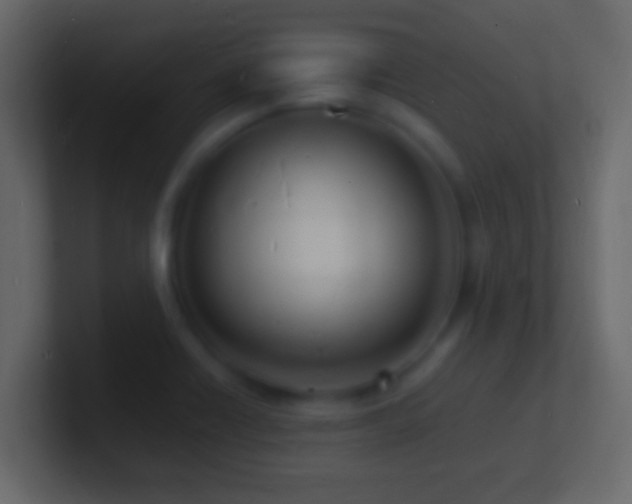 X0000101481418200807071454