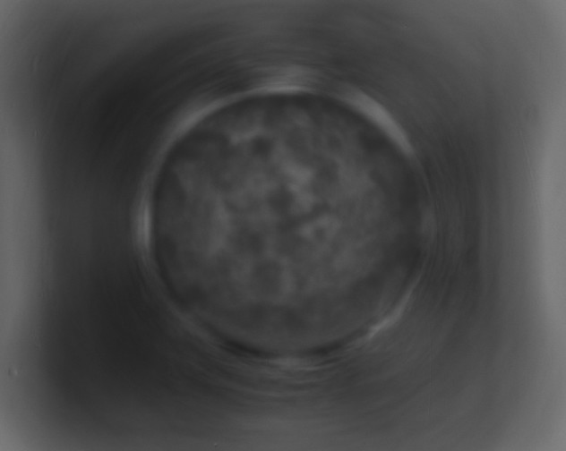 X0000101481419200807071454