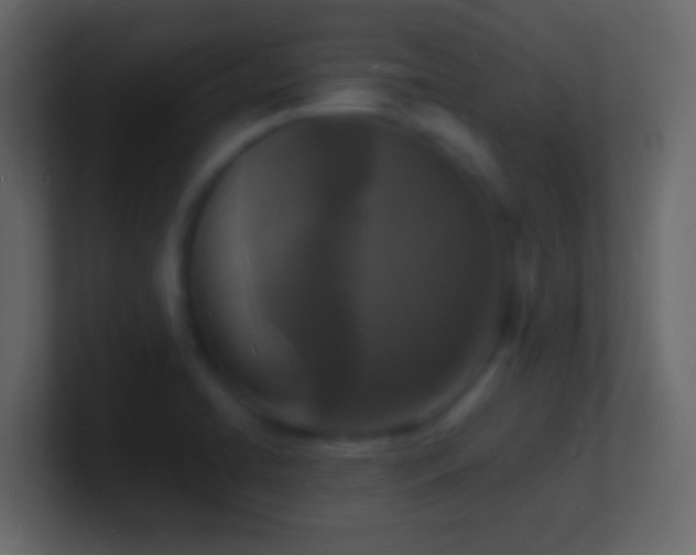 X0000101481422200807071454