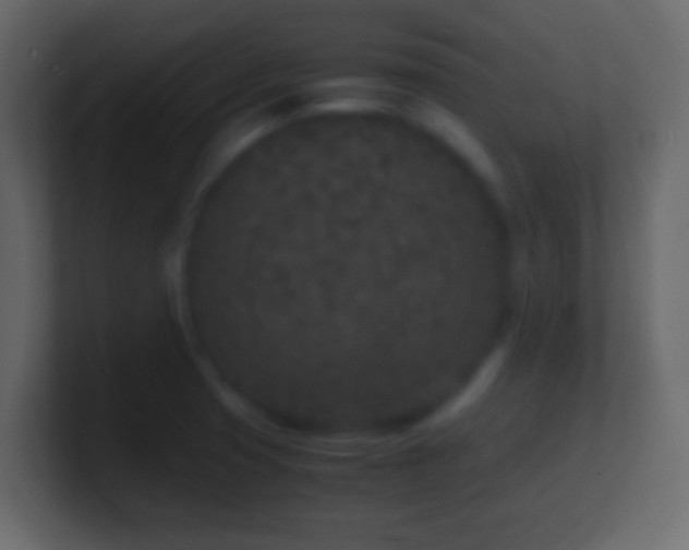 X0000101481425200807071454
