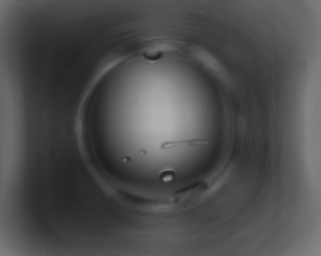 X0000101481426200807071454