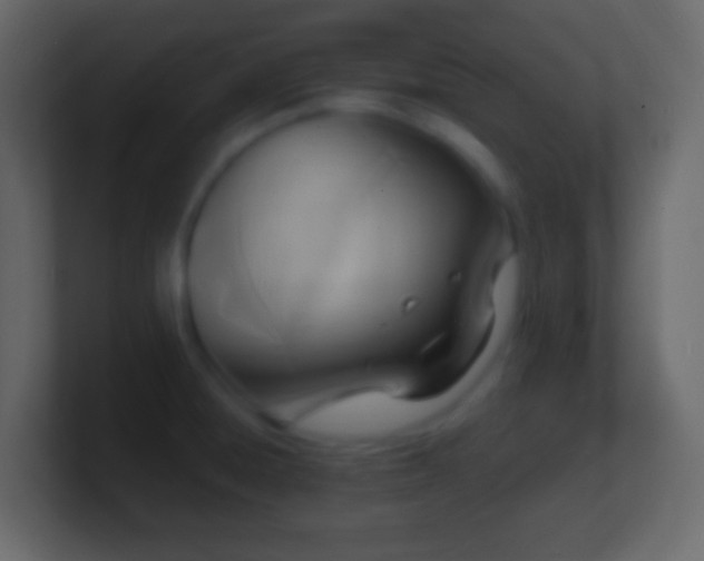 X0000101481428200807071454