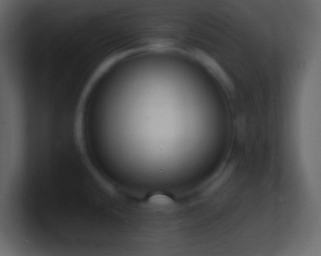 X0000101481432200807071454