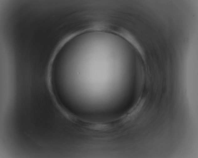 X0000101481437200807071454