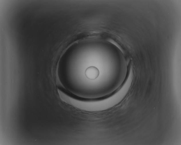 X0000101481441200807071454