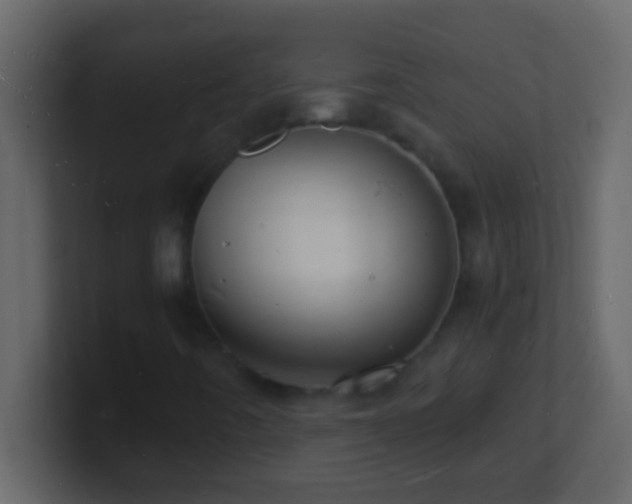 X0000101481442200807071454