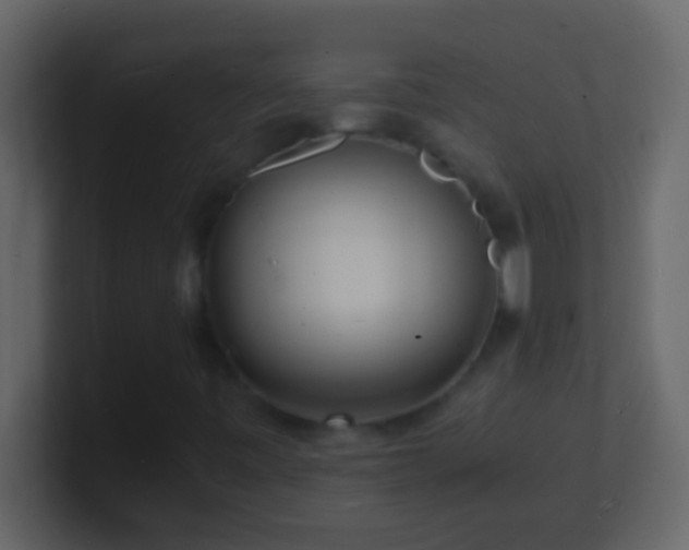 X0000101481443200807071454