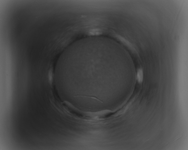 X0000101481444200807071454