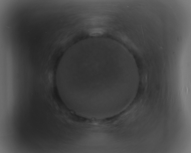 X0000101481445200807071454