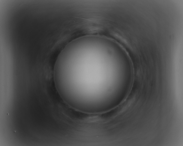 X0000101481447200807071454