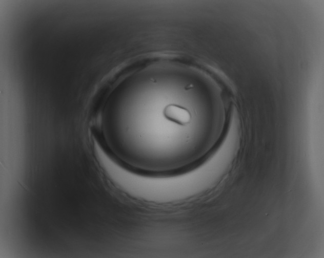 X0000101481448200807071454