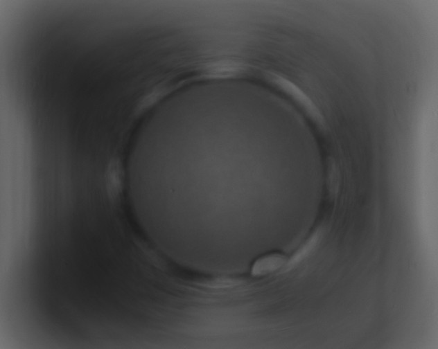 X0000101481449200807071454