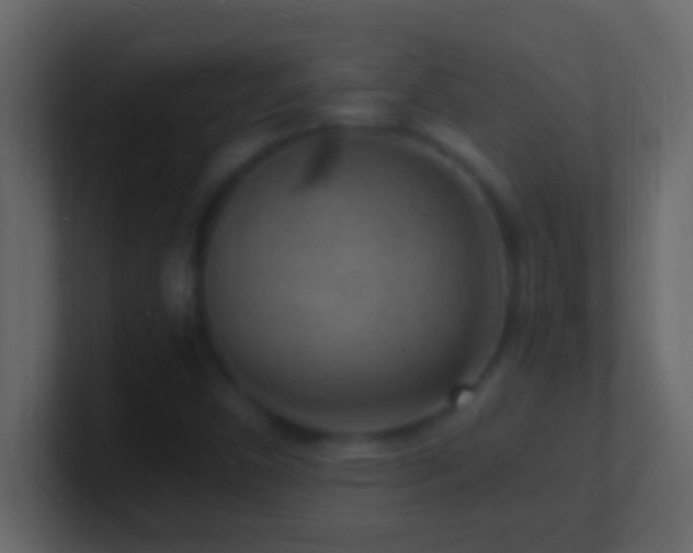 X0000101481450200807071454