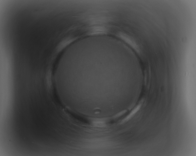 X0000101481453200807071454