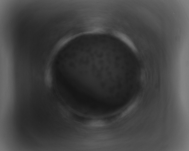 X0000101481455200807071454