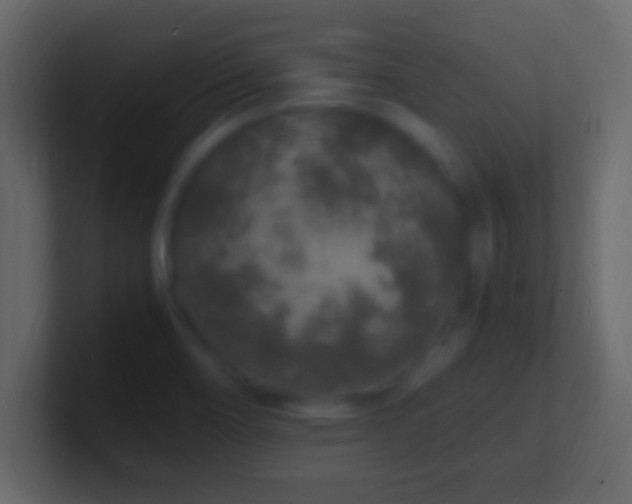 X0000101481466200807071454