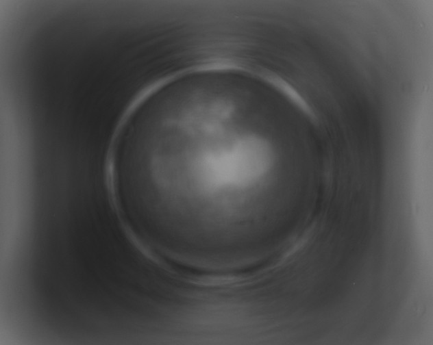 X0000101481468200807071454