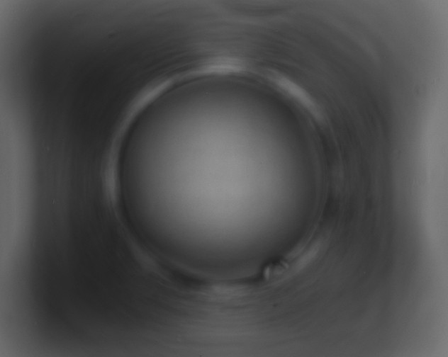 X0000101481469200807071453