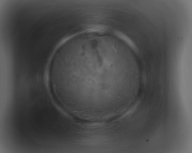 X0000101481471200807071453