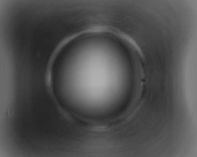 X0000101481472200807071453