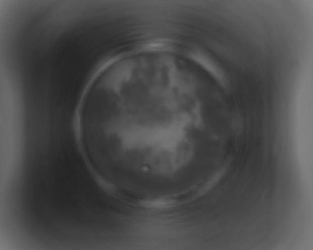 X0000101481474200807071453