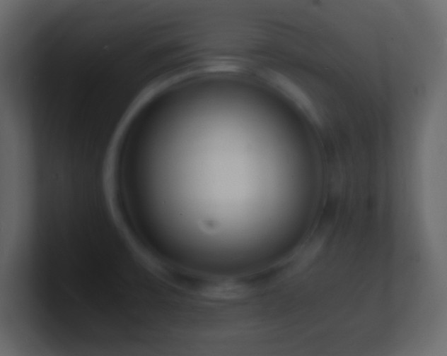 X0000101481475200807071453