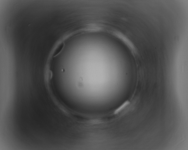 X0000101481477200807071453