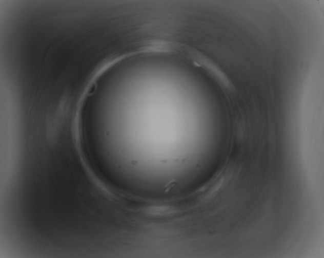 X0000101481479200807071453