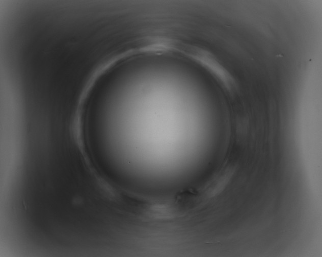 X0000101481480200807071453