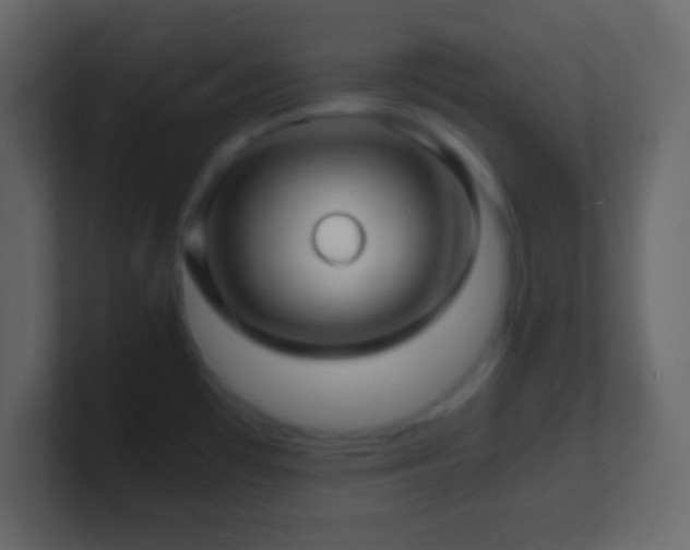 X0000101481481200807071453