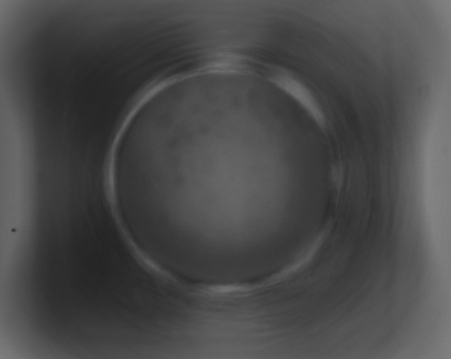 X0000101481482200807071453
