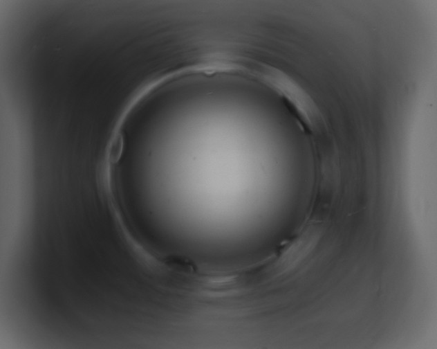 X0000101481484200807071453