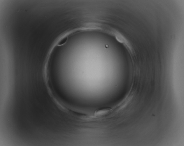 X0000101481485200807071453