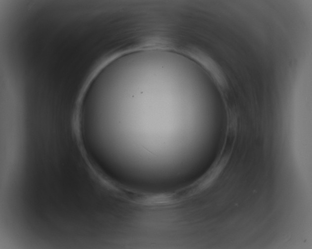 X0000101481486200807071453