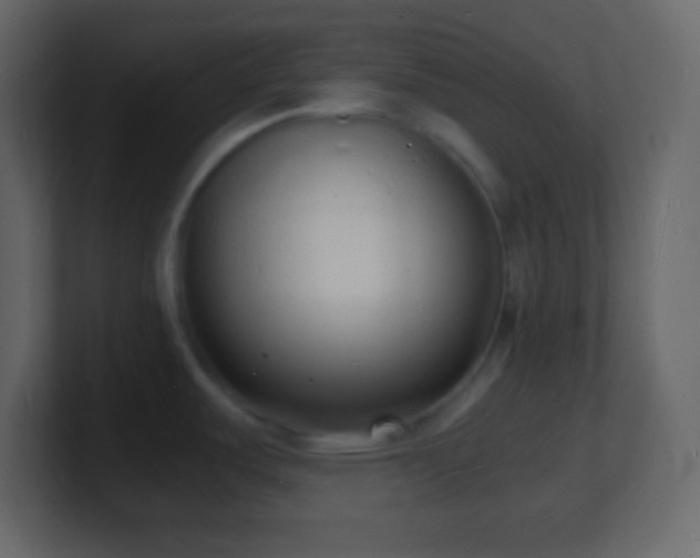 X0000101481487200807071453