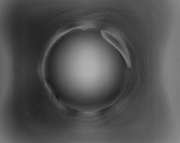 X0000101481488200807071453