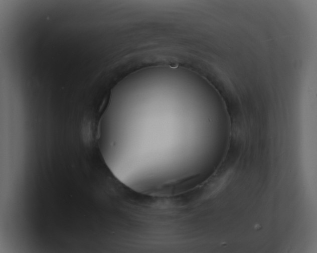 X0000101481490200807071453